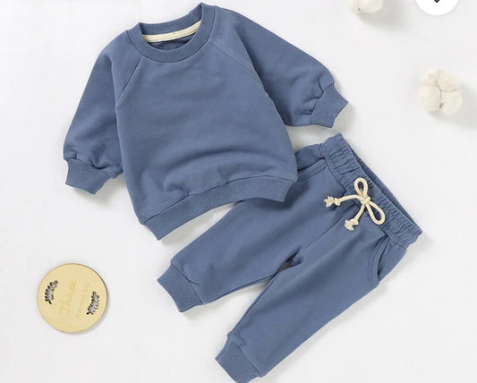 Blue Toddler Embroidered Jogger Set